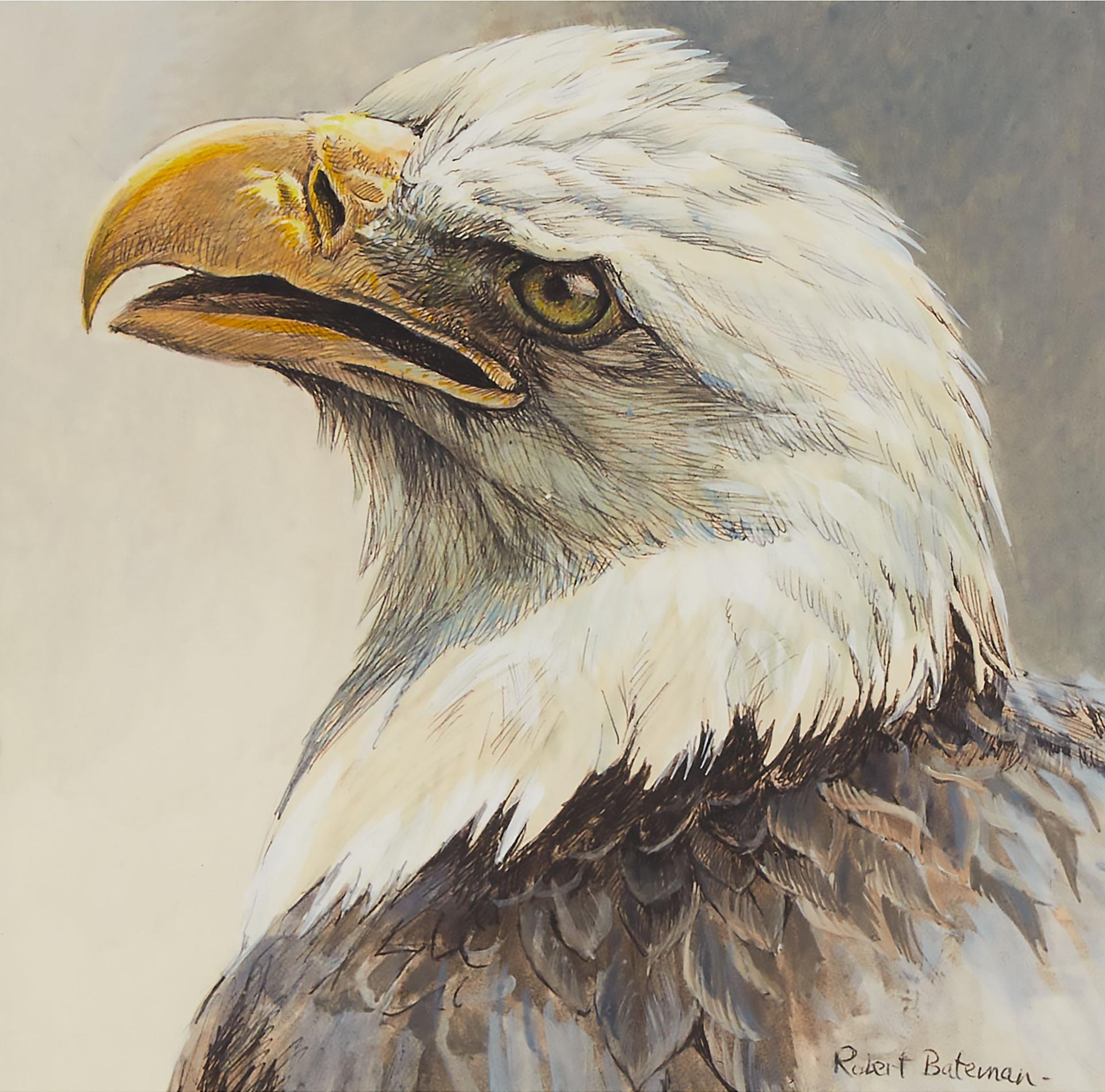 Robert Mclellan Bateman (1930-1922) - Head Of A Bald Eagle