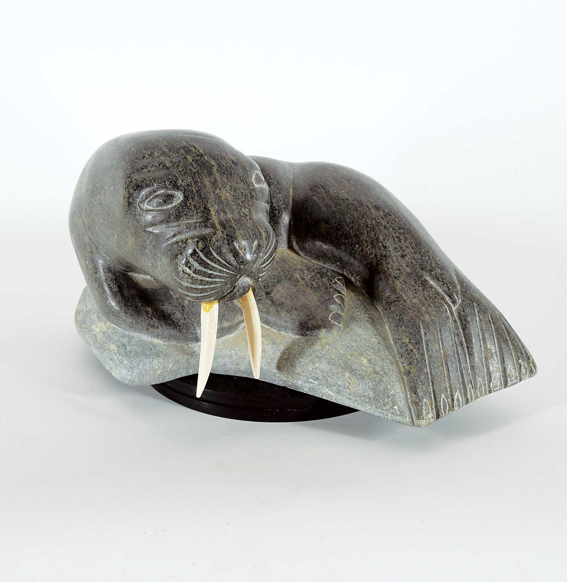 Tivi Ilisituk (1933-2012) - Untitled - Resting Walrus