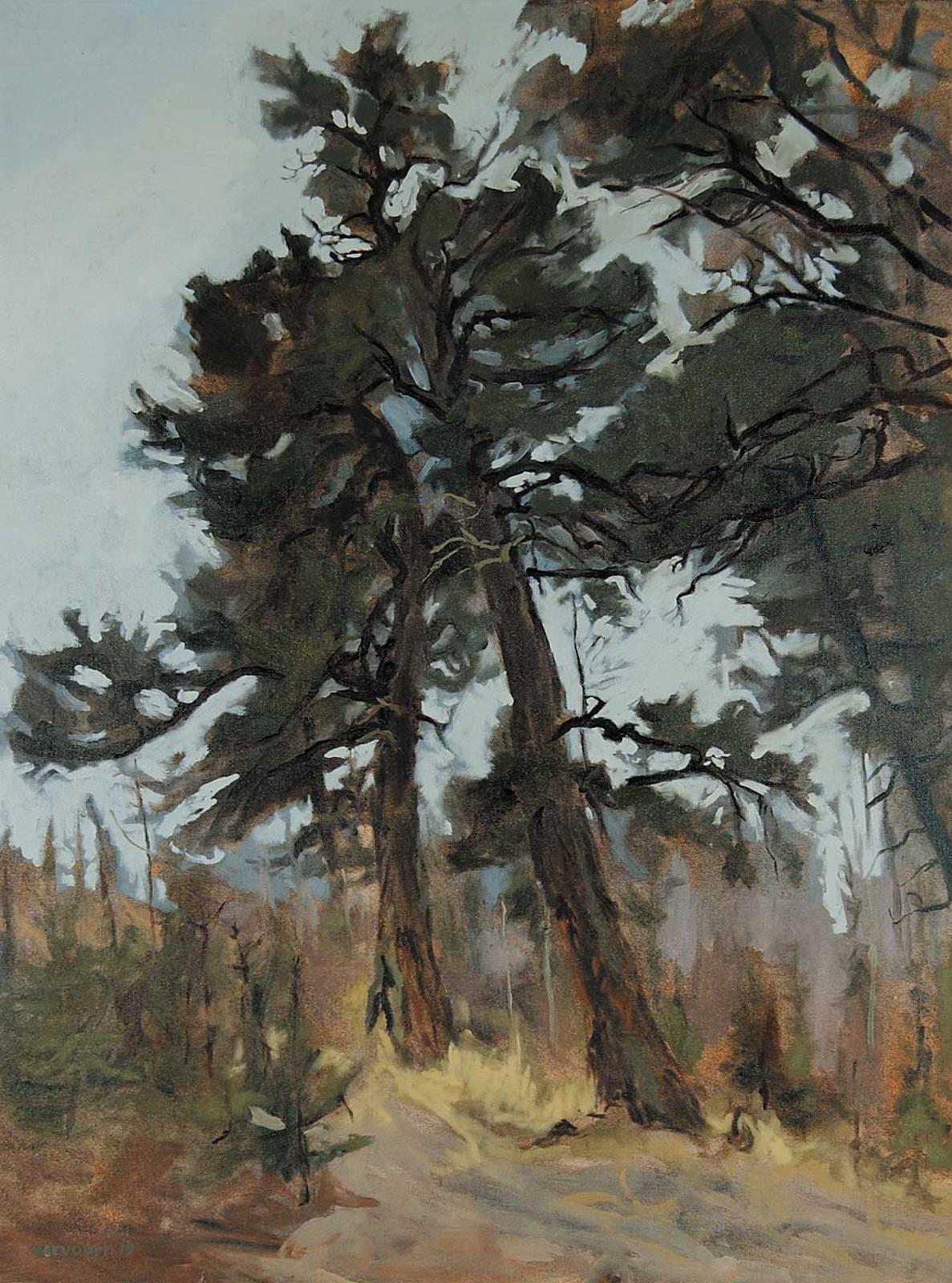 Frank Karl Vervoort (1930-1983) - Douglas Pines