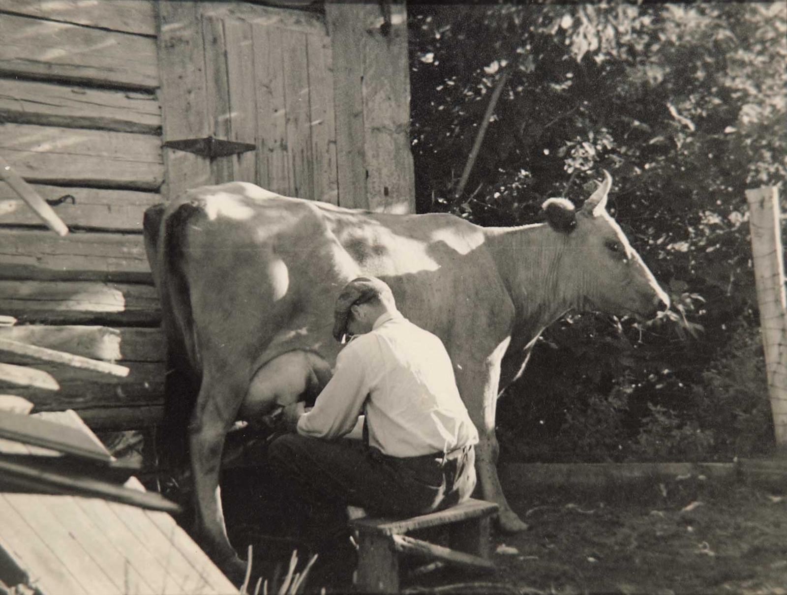 Francis Hans (Franz) Johnston (1889-1949) - Milking the Cow