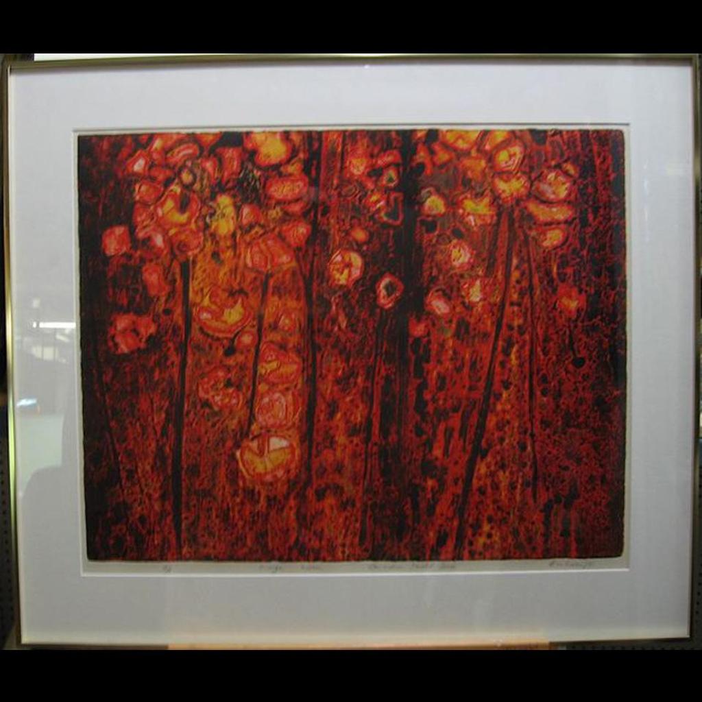 Edward John - Orange Lichen (Canadian Shield Series)