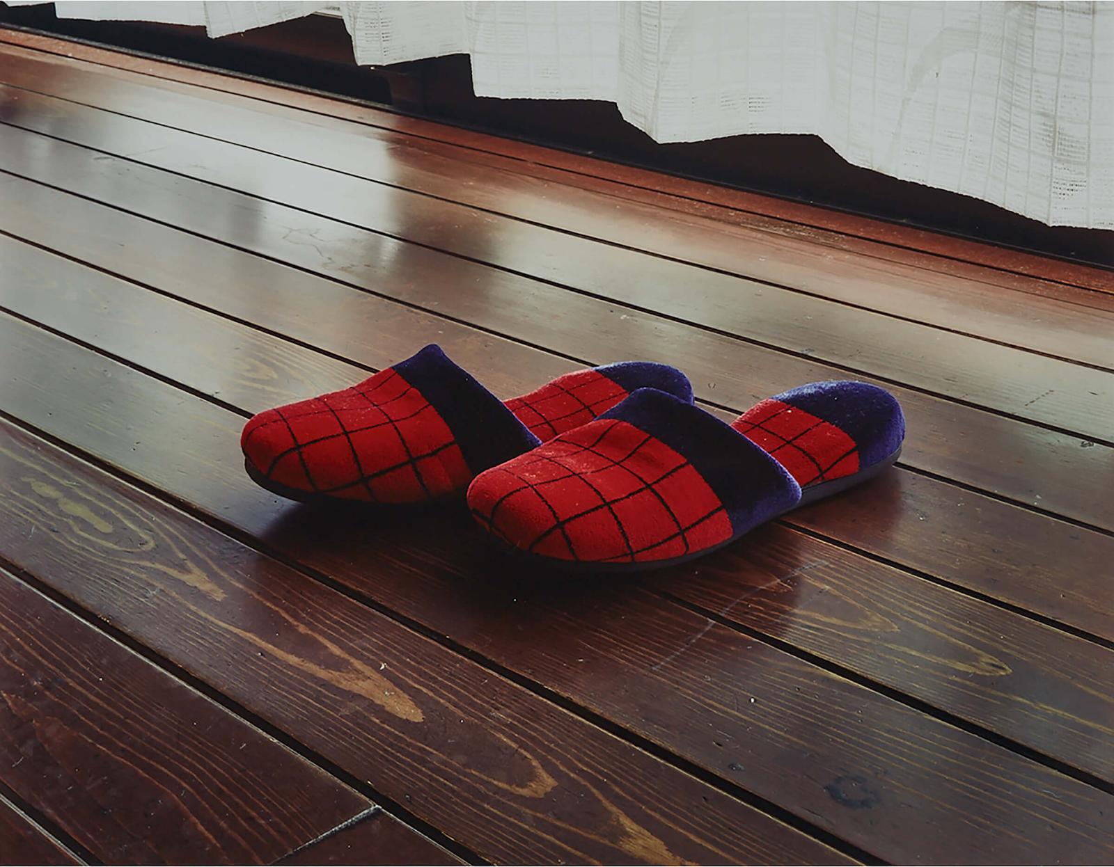 Takashi Yasumura (1972) - A Pair Of Slippers, 1997