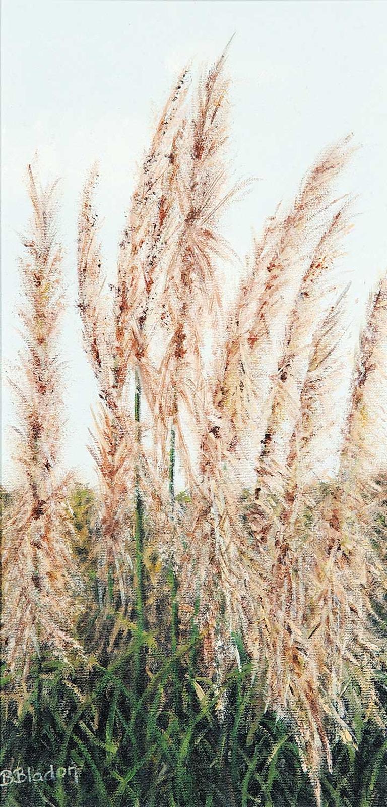 Beverly J. Bladon - Pampas Grass