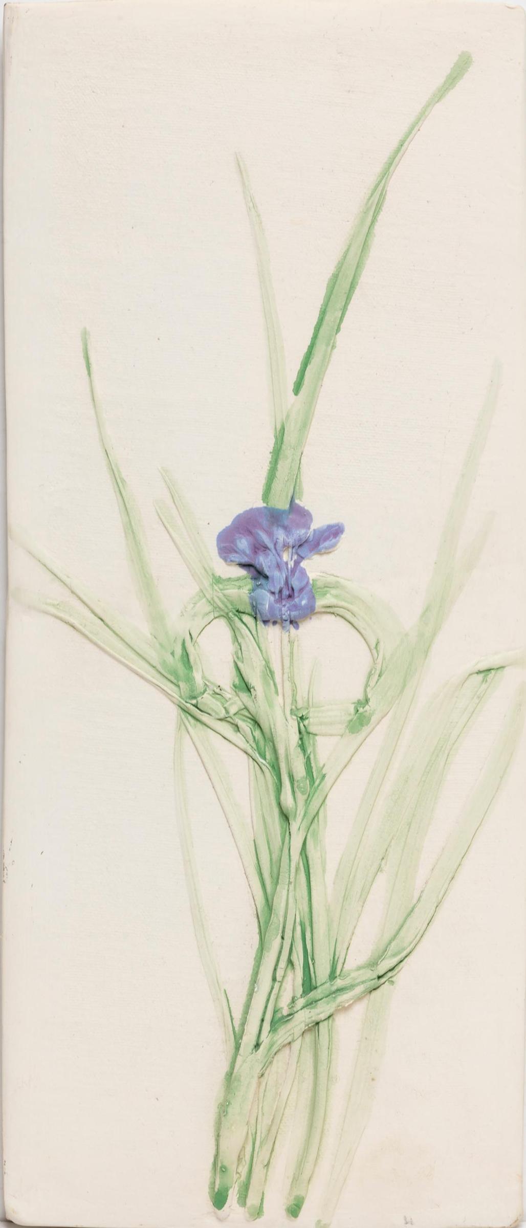 Susan Robertson - Tradescantia