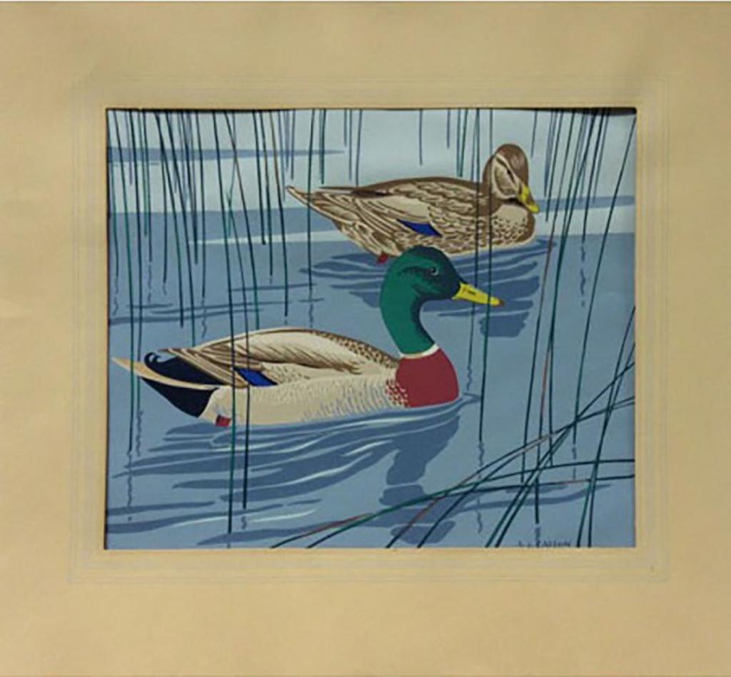 Alfred Joseph (A.J.) Casson (1898-1992) - Mallard And Black Duck