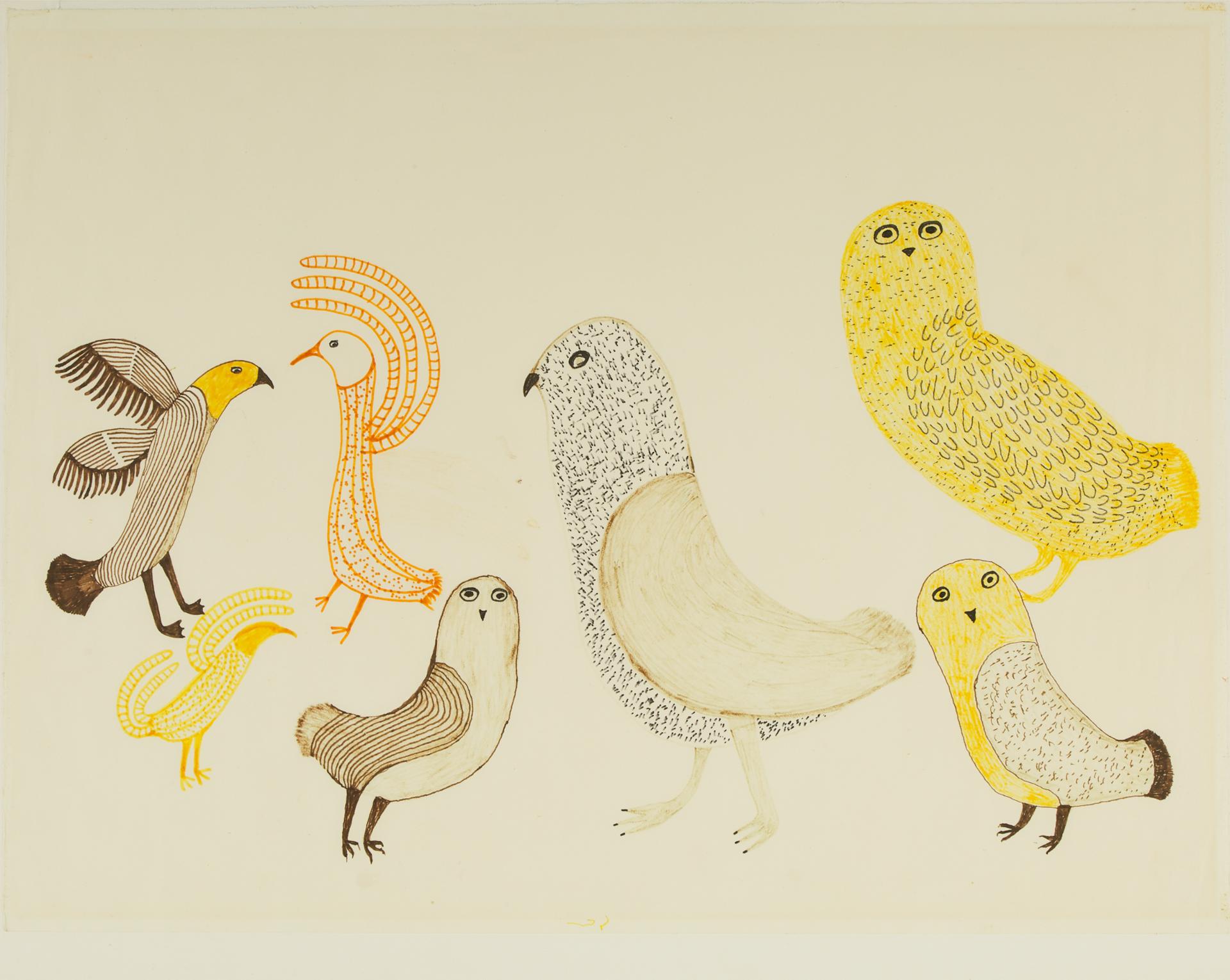 Lucy Qinnuayuak (1915-1982) - Many Birds Gather