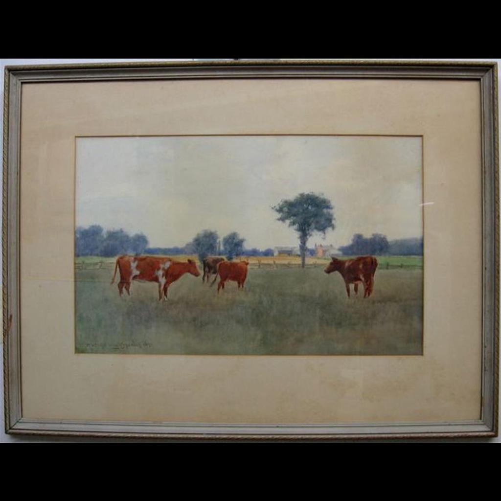 Farquhar Mcgillivray Strachan Stewart Knowles (1859-1932) - Grazing Cattle