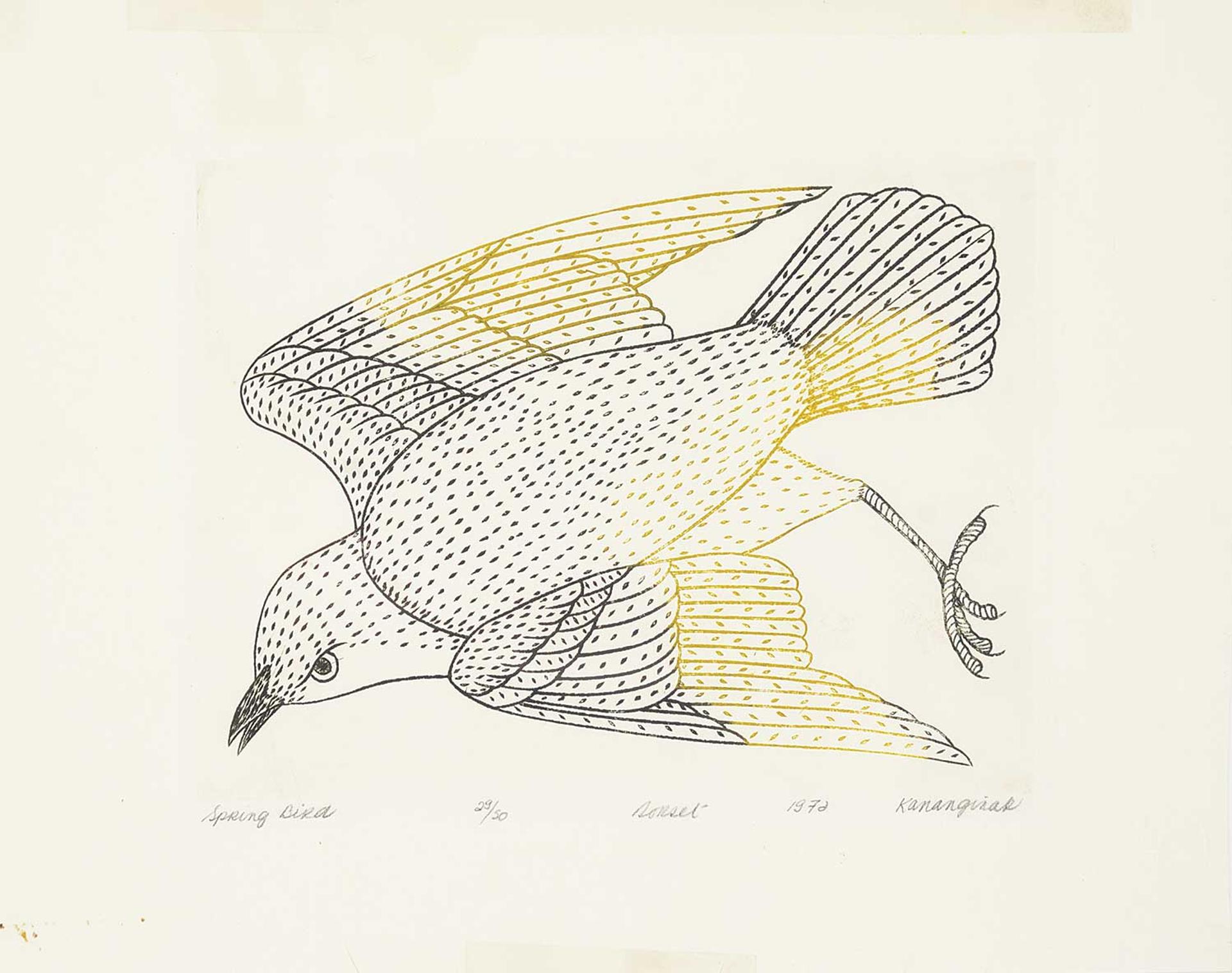 Kananginak Pootoogook (1935-2010) - Spring Bird  #29/50