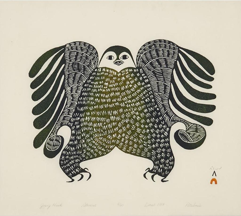 Pitaloosie Saila (1942-2021) - Young Hawk