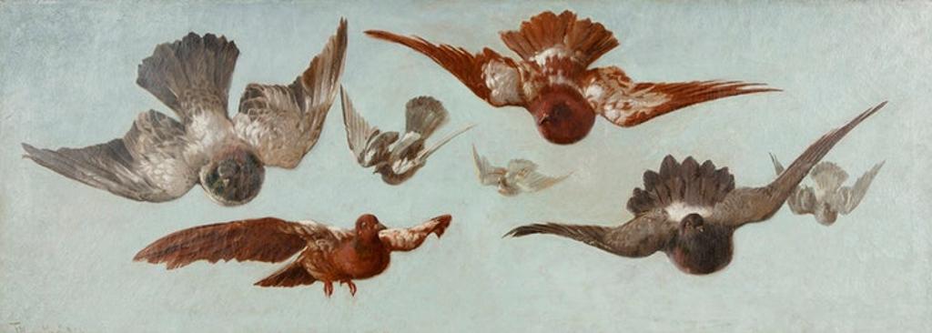 Thomas Mower Martin (1838-1934) - Pigeons in Flight