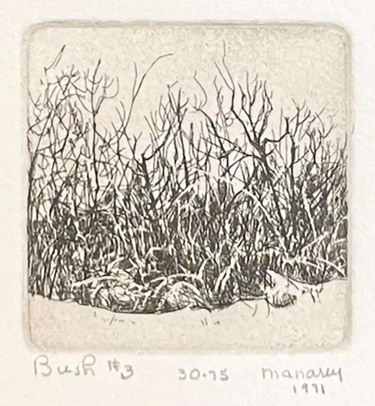 Thelma Alberta Manarey (1913-1984) - Bush #3  30/75