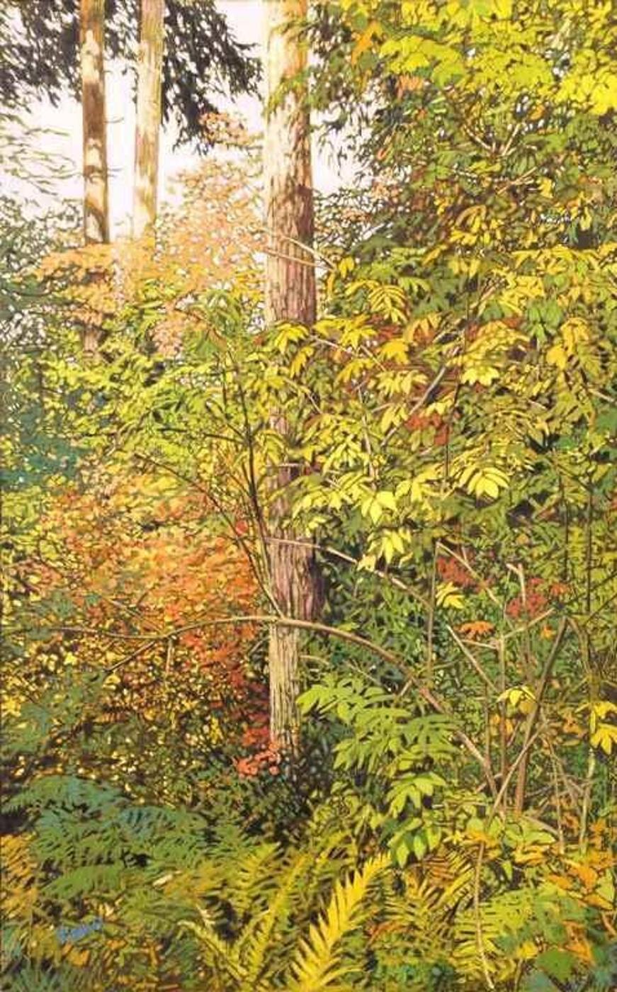 Dan Varnals (1931) - Autumn C0lours