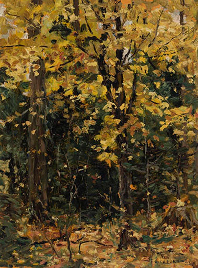 Frederick Simpson Coburn (1871-1960) - Forest Interior