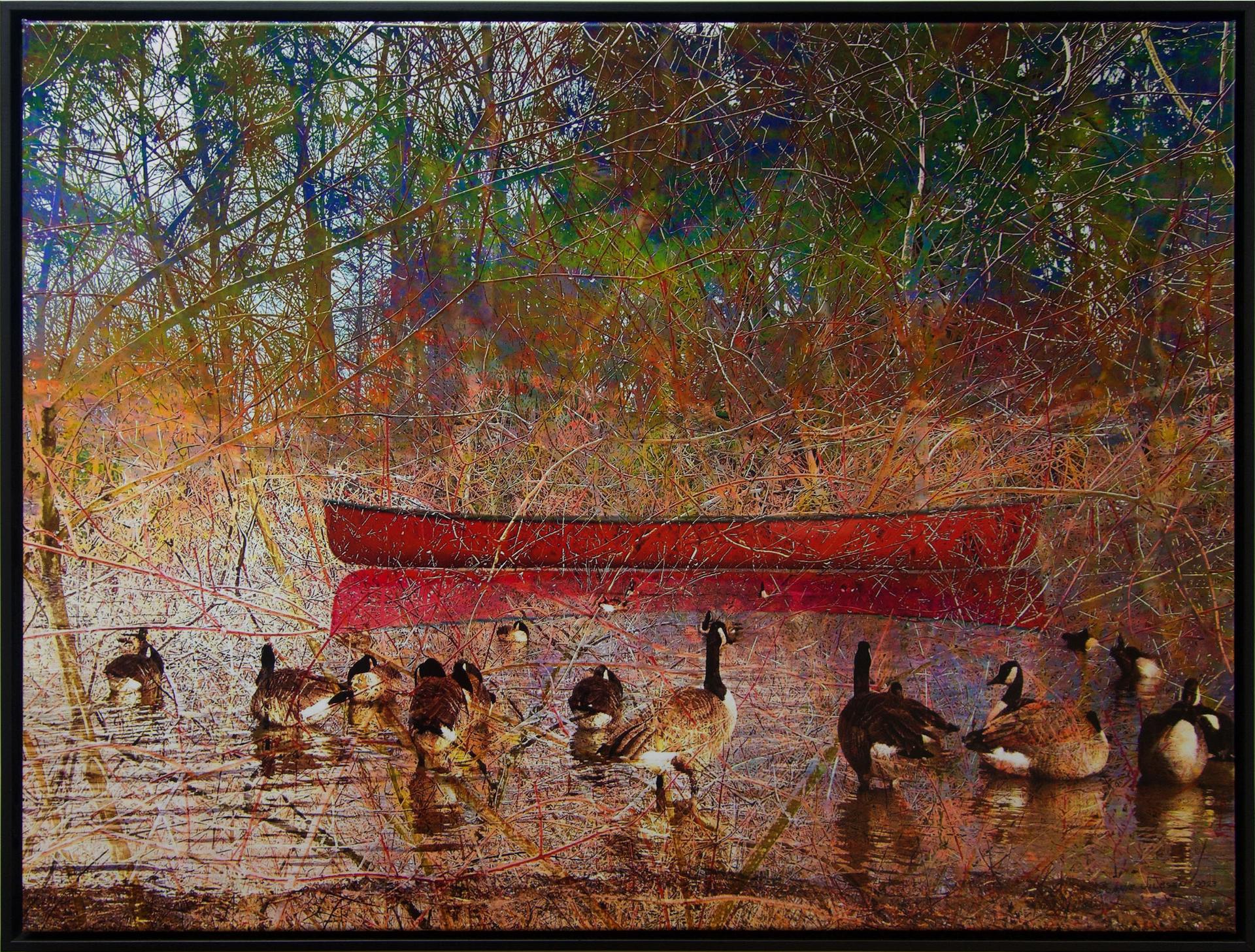 Connie Jilesen - Lost - Canada Geese Coming Home