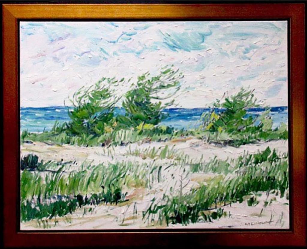 Bruce Steinhoff (1959) - Beach View, Lake Huron
