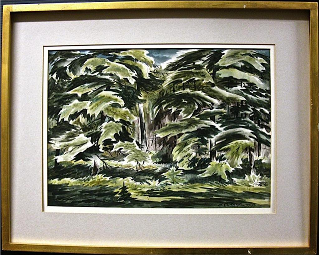 Carl Fellman Schaefer (1903-1995) - Untitled (Forest Study)