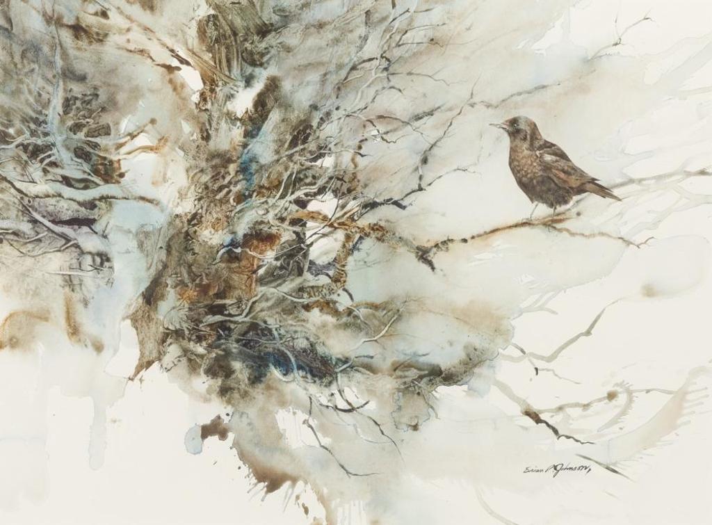 Brian R. Johnson (1932) - Crow on a Branch