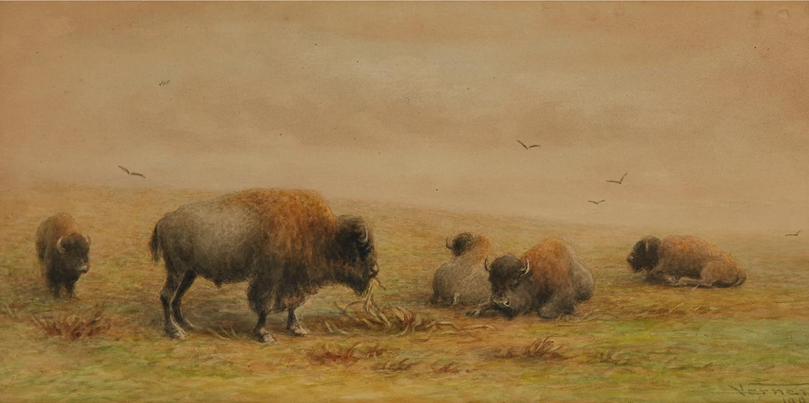 Frederick Arthur Verner (1836-1928) - Bison - Dry Time, 1906