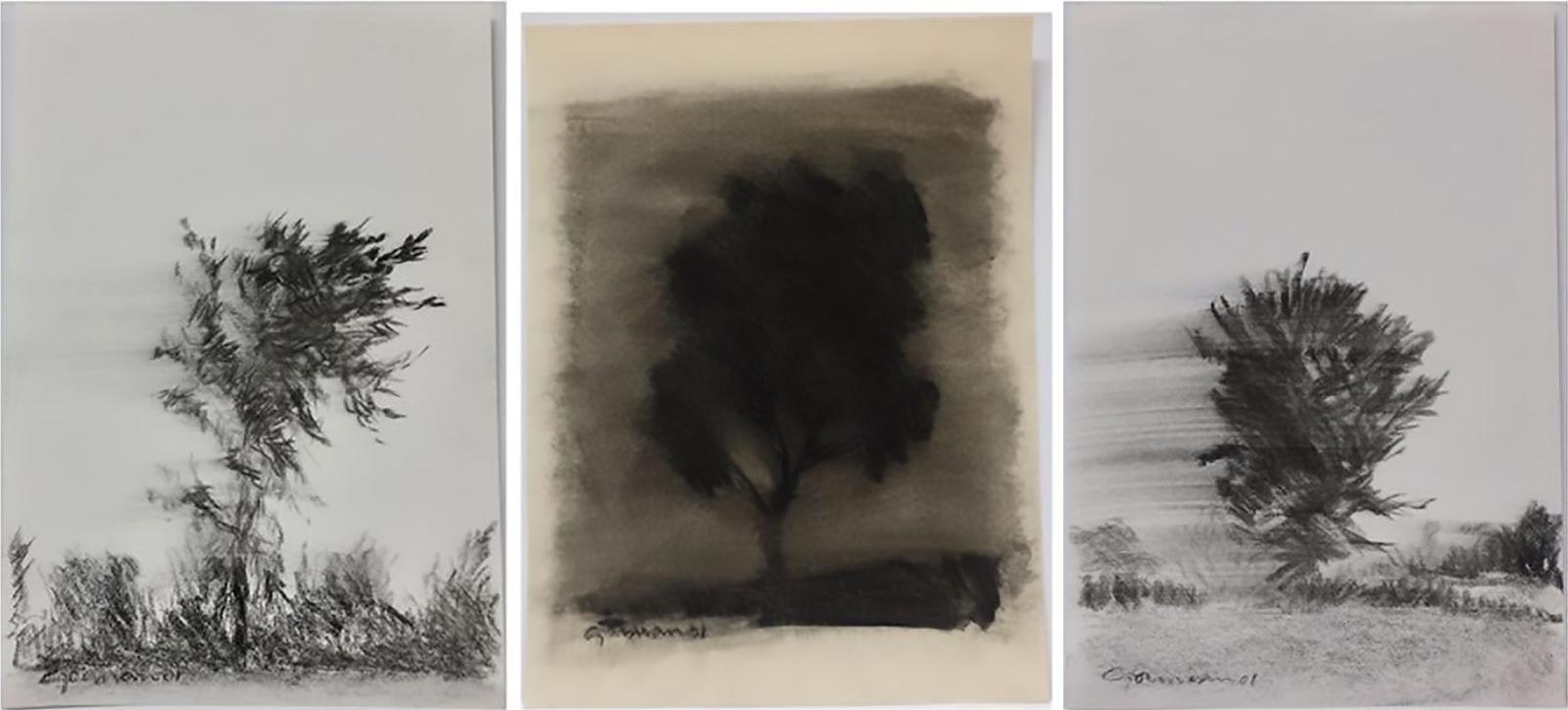 Richard Borthwick Gorman (1935-2010) - Untitled (Tree Studies - Day And Night)