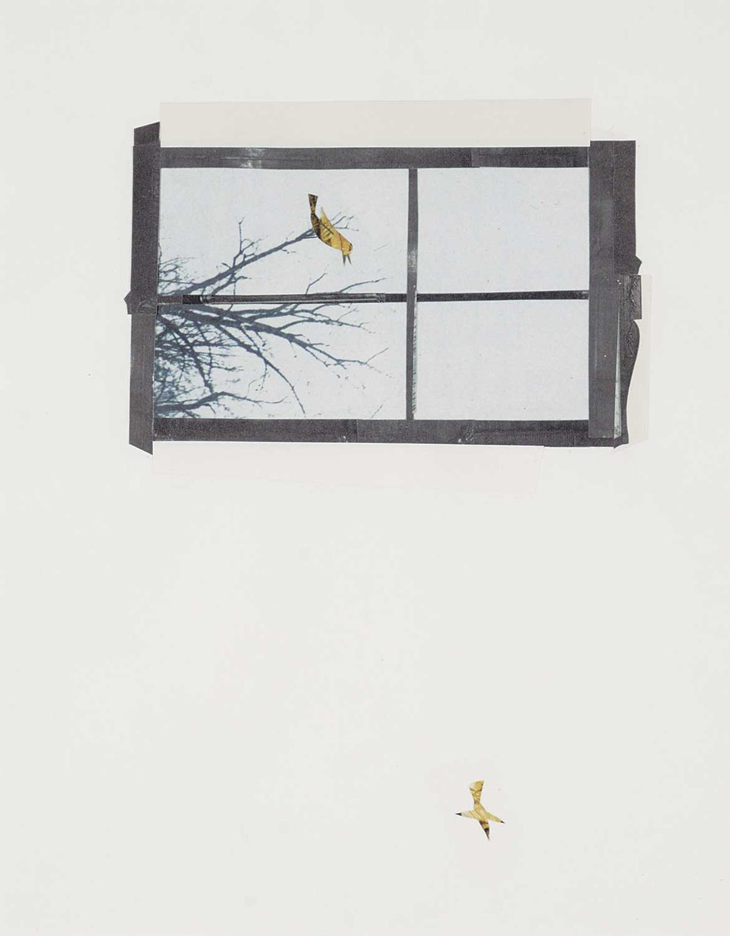 Stefanie Augustine - Bird Song Outside His Window Made Him Happier