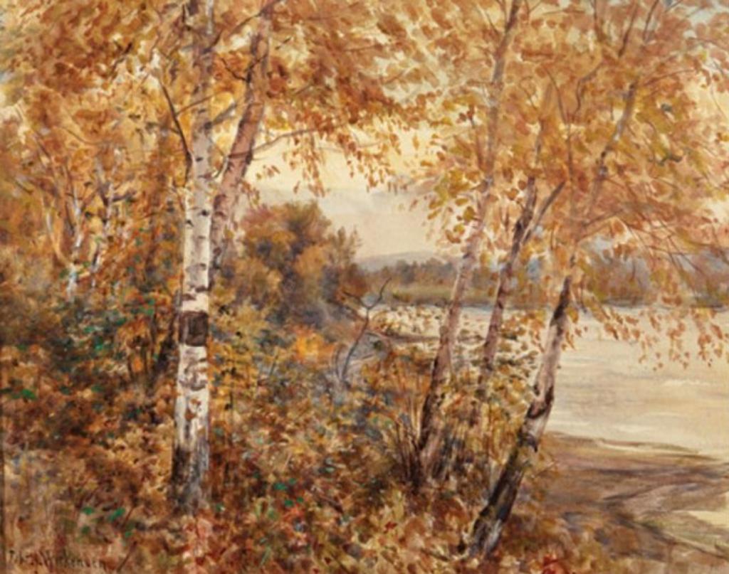 Robert John Wickenden (1861-1931) - Birch Trees in Autumn