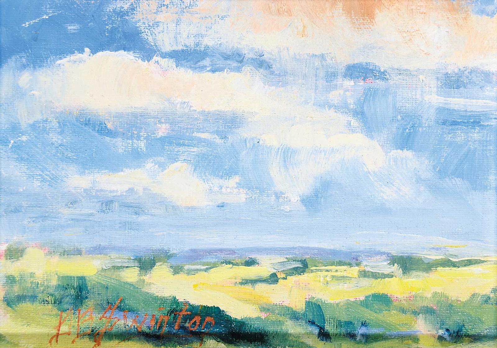 Doug Swinton - Springbank Sky