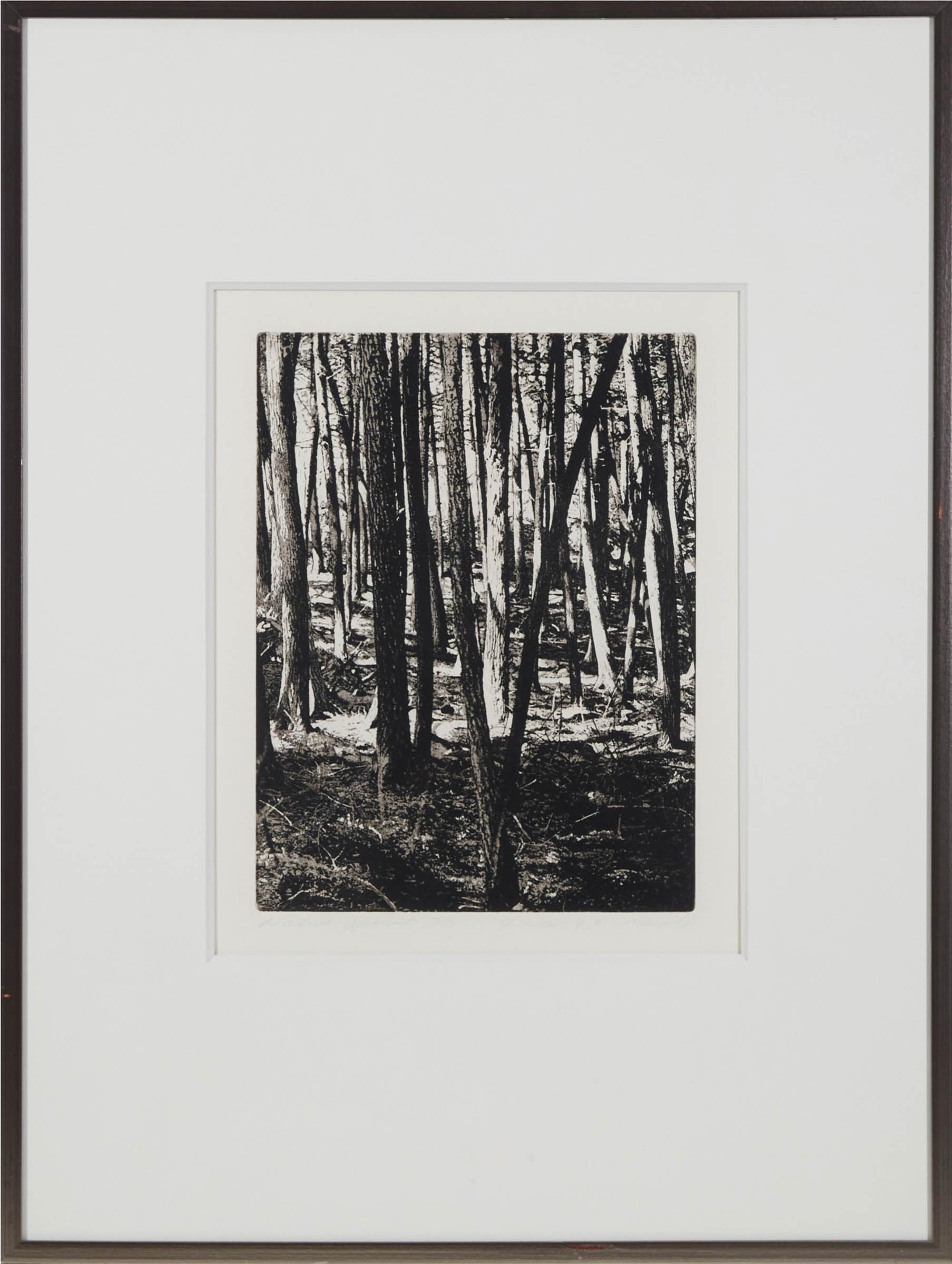 George Raab (1948) - Native Spirit