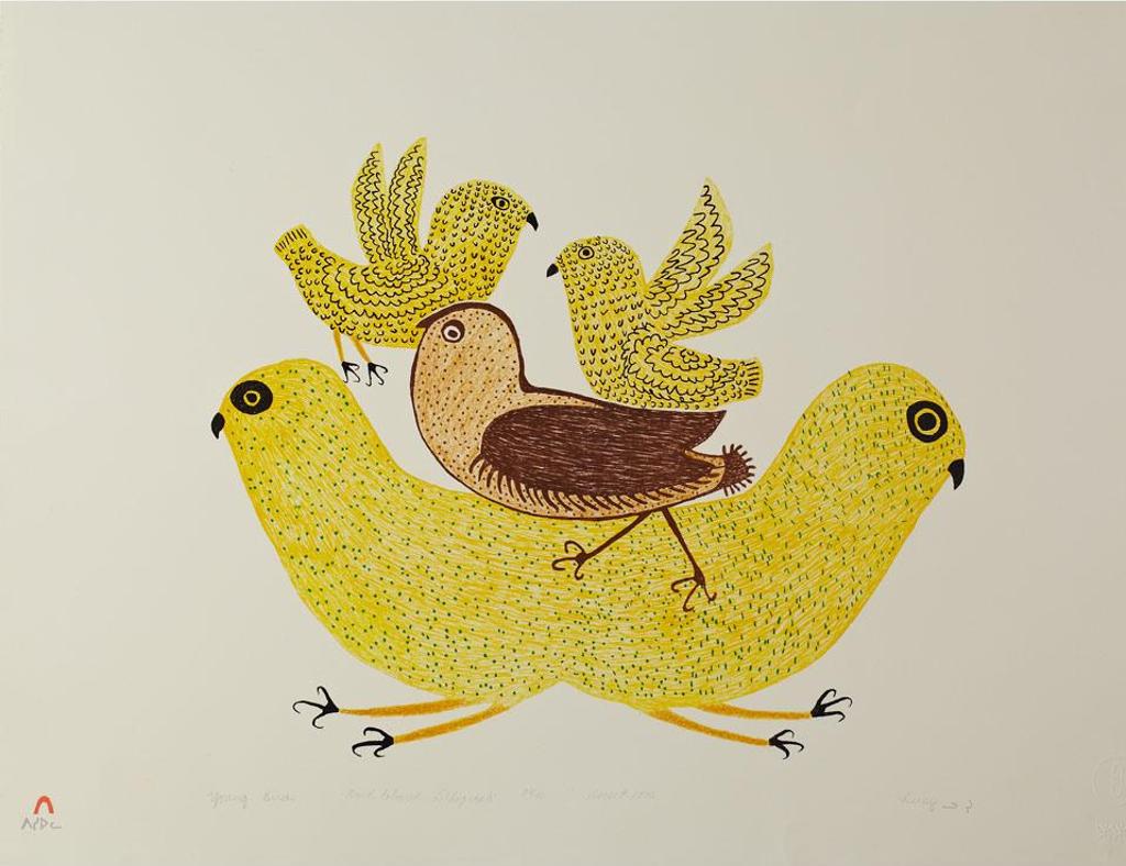 Lucy Qinnuayuak (1915-1982) - Young Birds