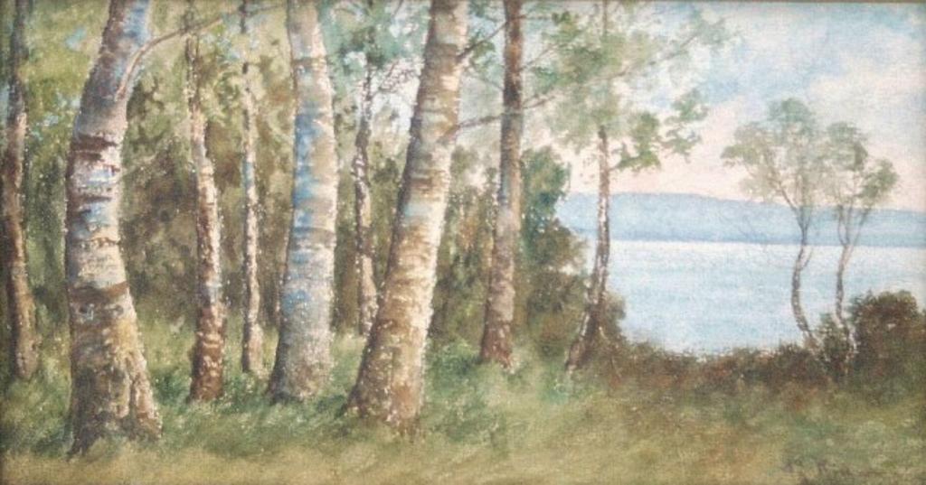 John Henry de Rinzy (1852-1936) - Birch Trees By Waters Edge