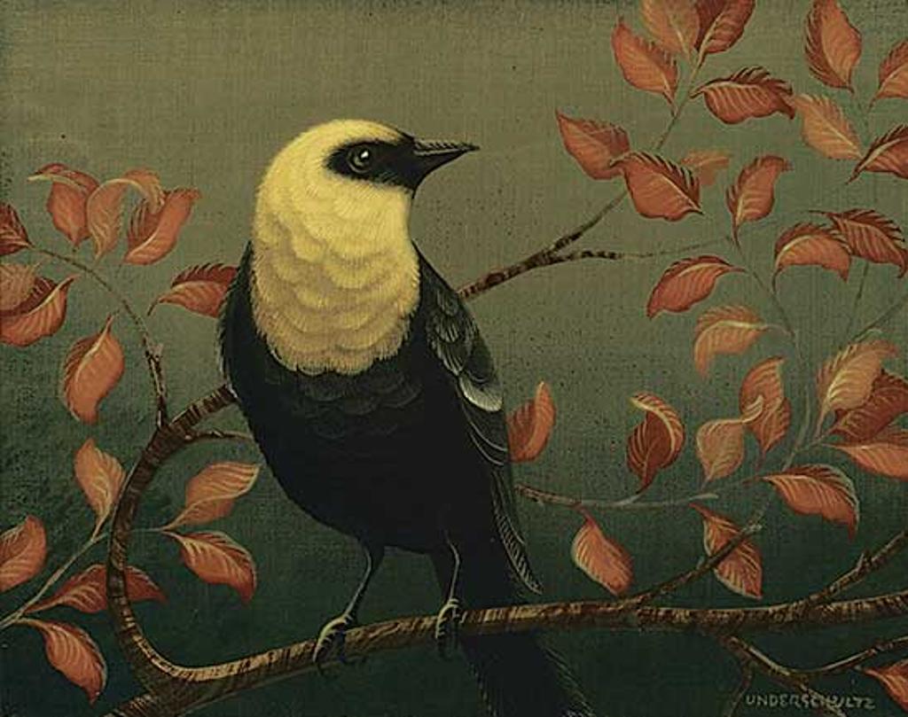 Darrell Underschultz (1965) - Yellow-Headed Blackbird