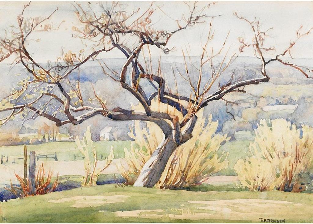 Frederick Henry Brigden (1871-1956) - Country View