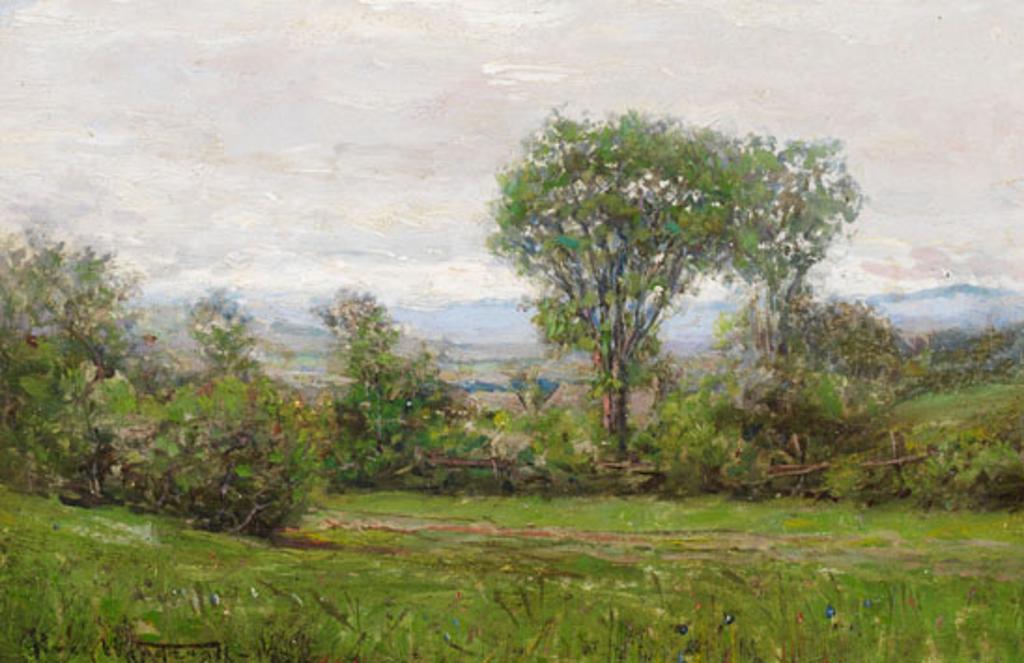 Percy Franklin Woodcock (1855-1936) - Summer Landscape