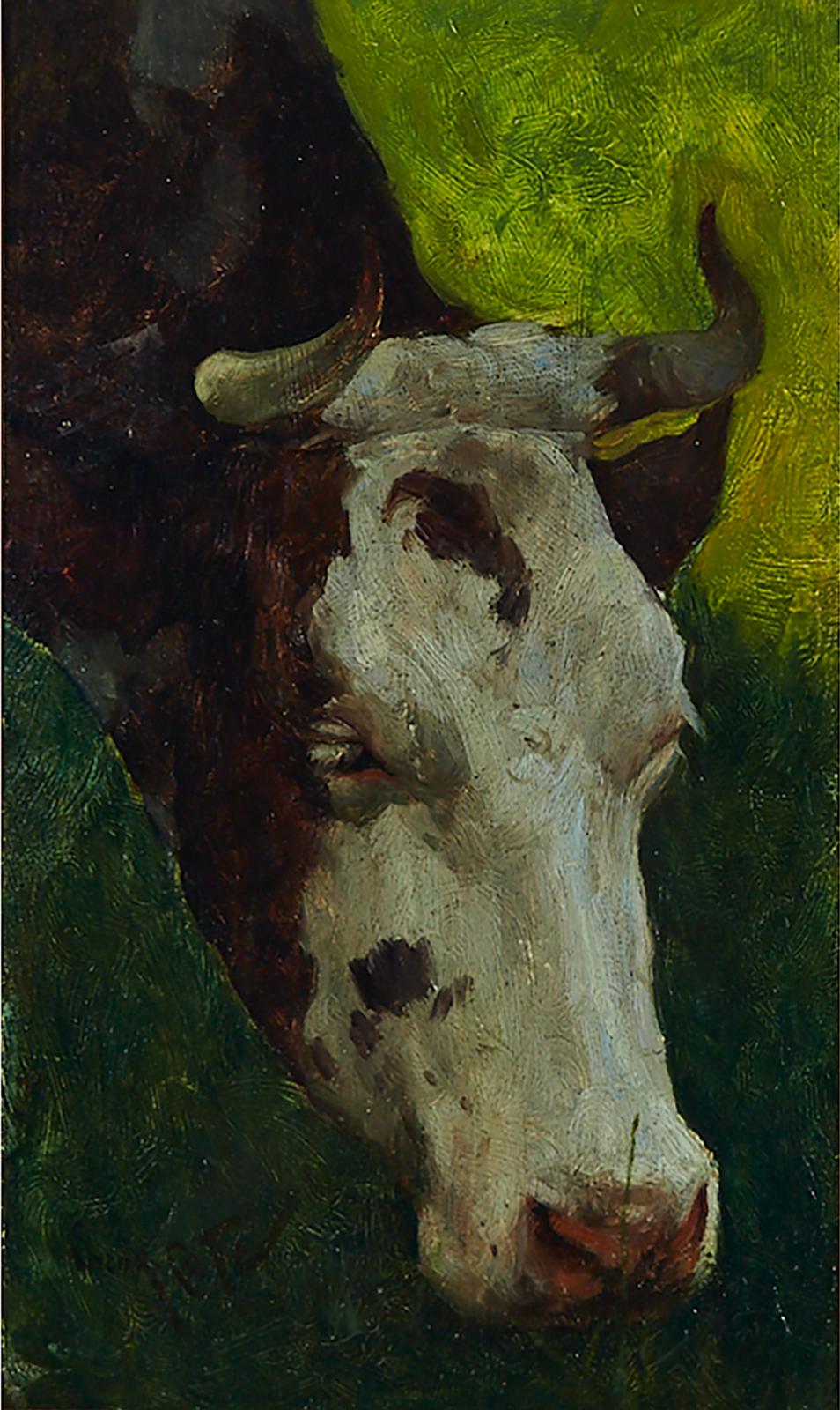 Marc-Aurèle de Foy Suzor-Coté (1869-1937) - Grazing Cow