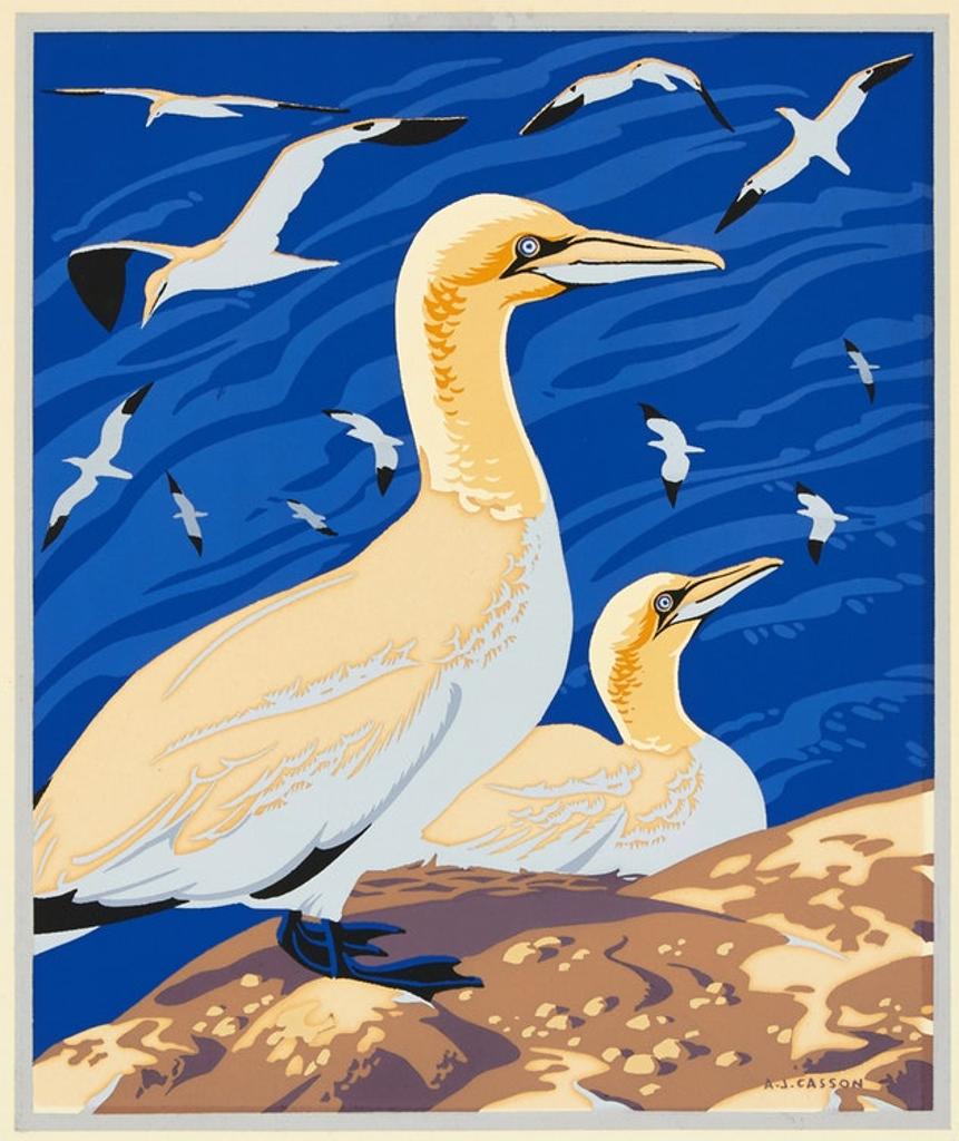 Alfred Joseph (A.J.) Casson (1898-1992) - The Solan Goose or Gannet