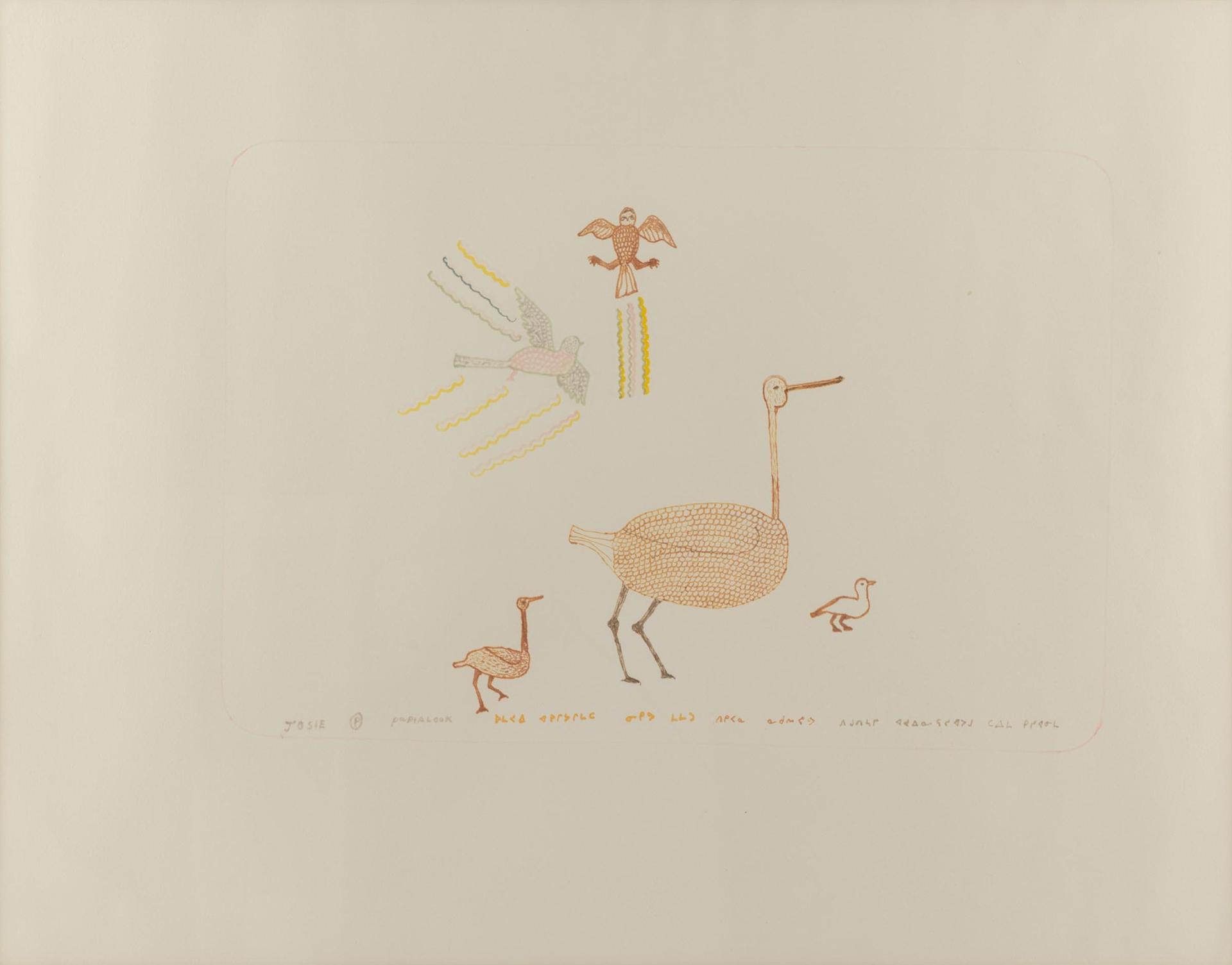 Josie Pamiutu Papialuk (1918-1996) - Bird Life