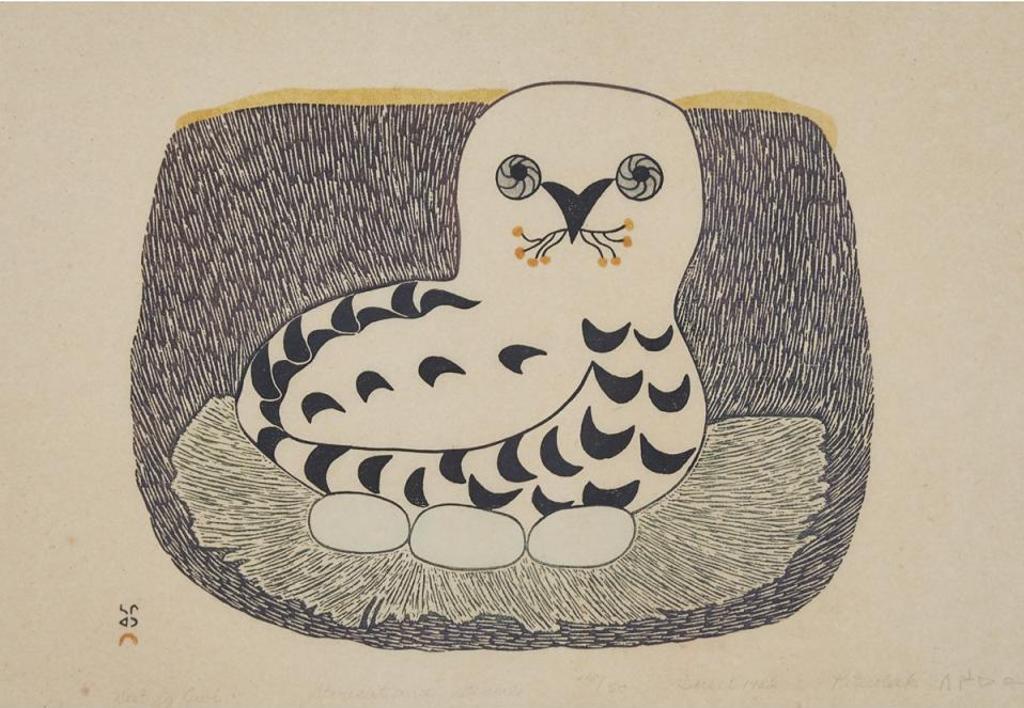 Pitseolak Ashoona (1904-1983) - Nesting Owl