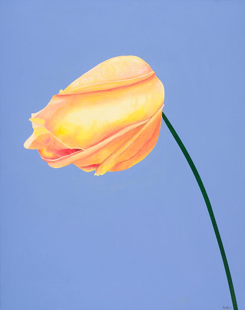 Charles Pachter (1942) - Rose