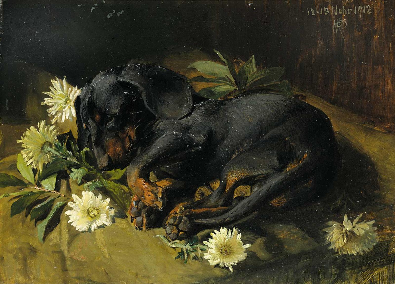 Niels Peter Rasmussen - Untitled - Sleeping Puppy