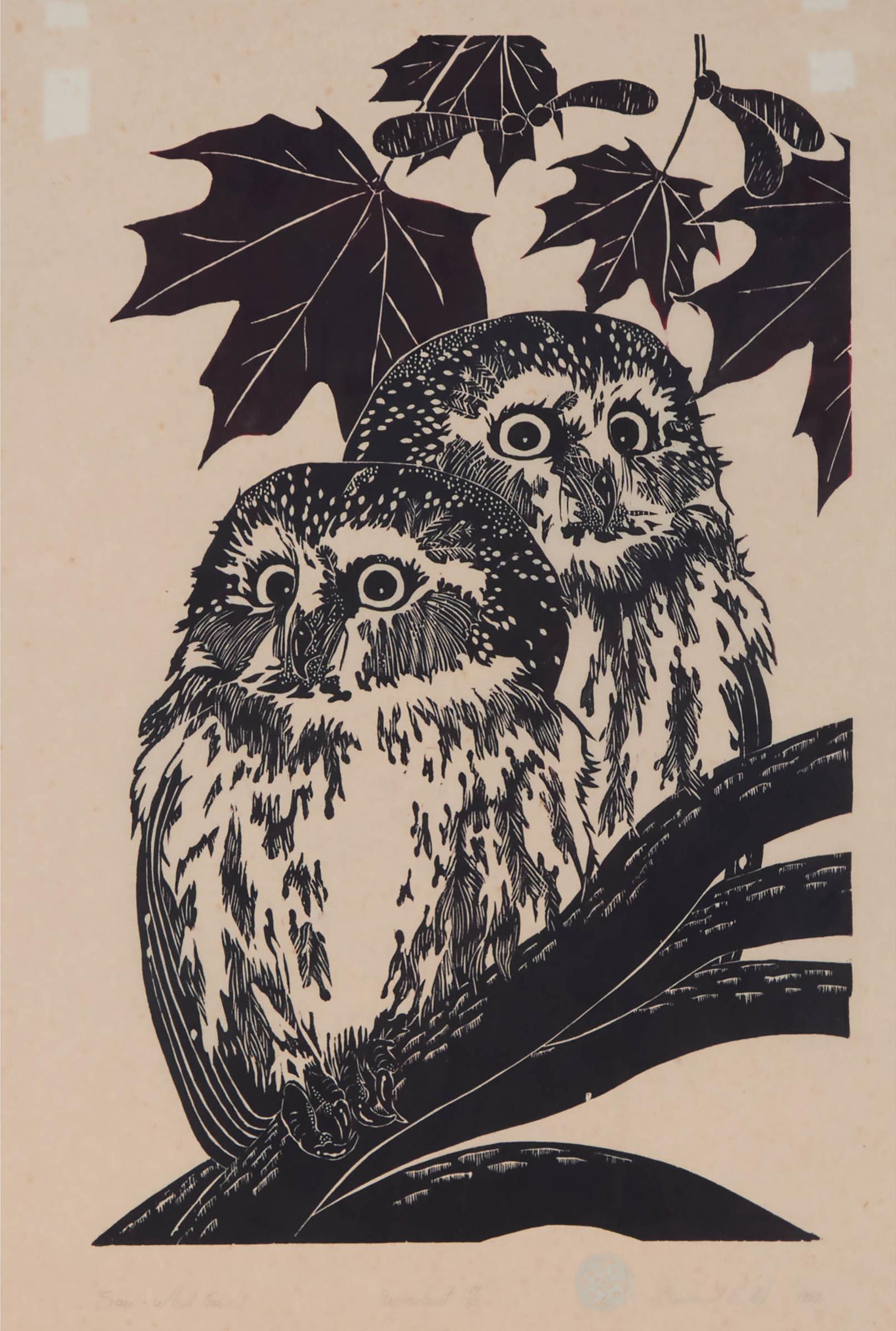 Burland Murphy - Saw-Whet Owls, 1982