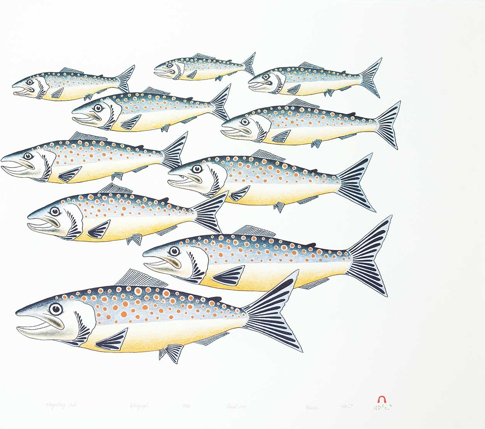 Aoudla Pudlat (1951-2006) - Migrating Fish  #21/50