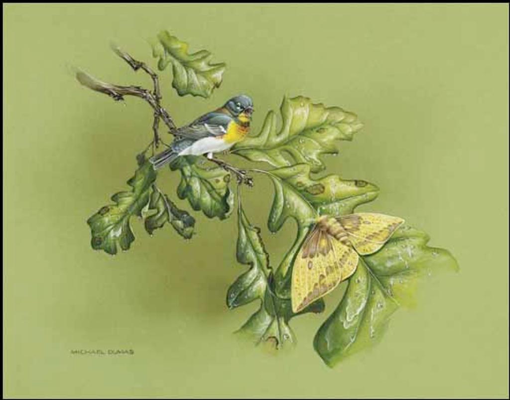 Michael Dumas (1950) - Male Parula Warbler and Male Imperial Moth