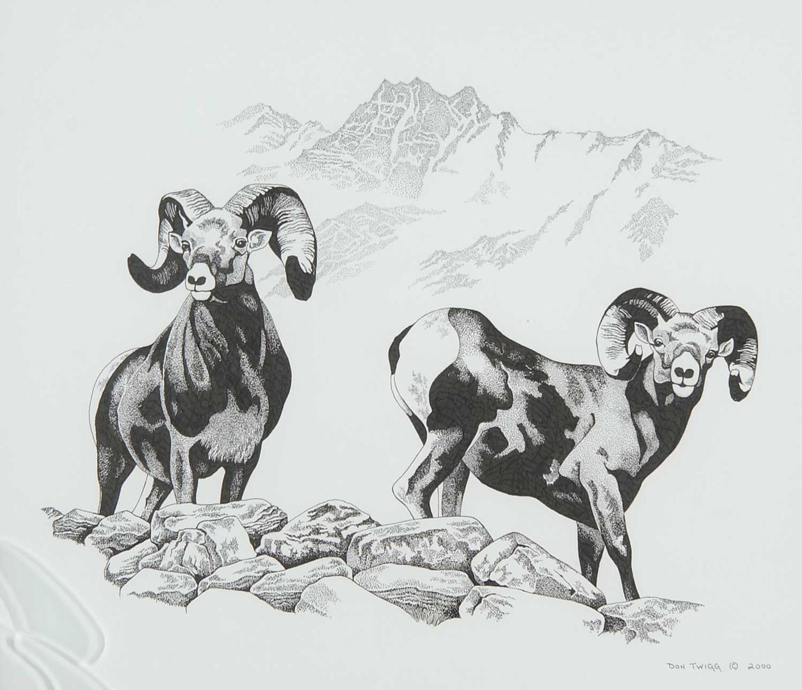 Don Twigg - Untitled - Big Horn Sheep