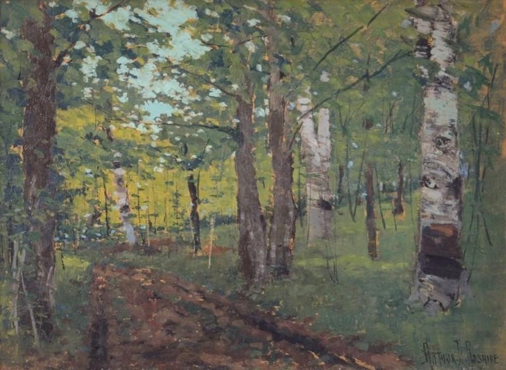 Arthur Dominique Rozaire (1879-1922) - Birch Forest (1902)