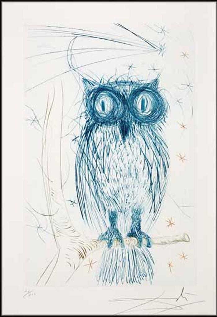 Salvador Dalí (1904-1989) - La chouette bleue