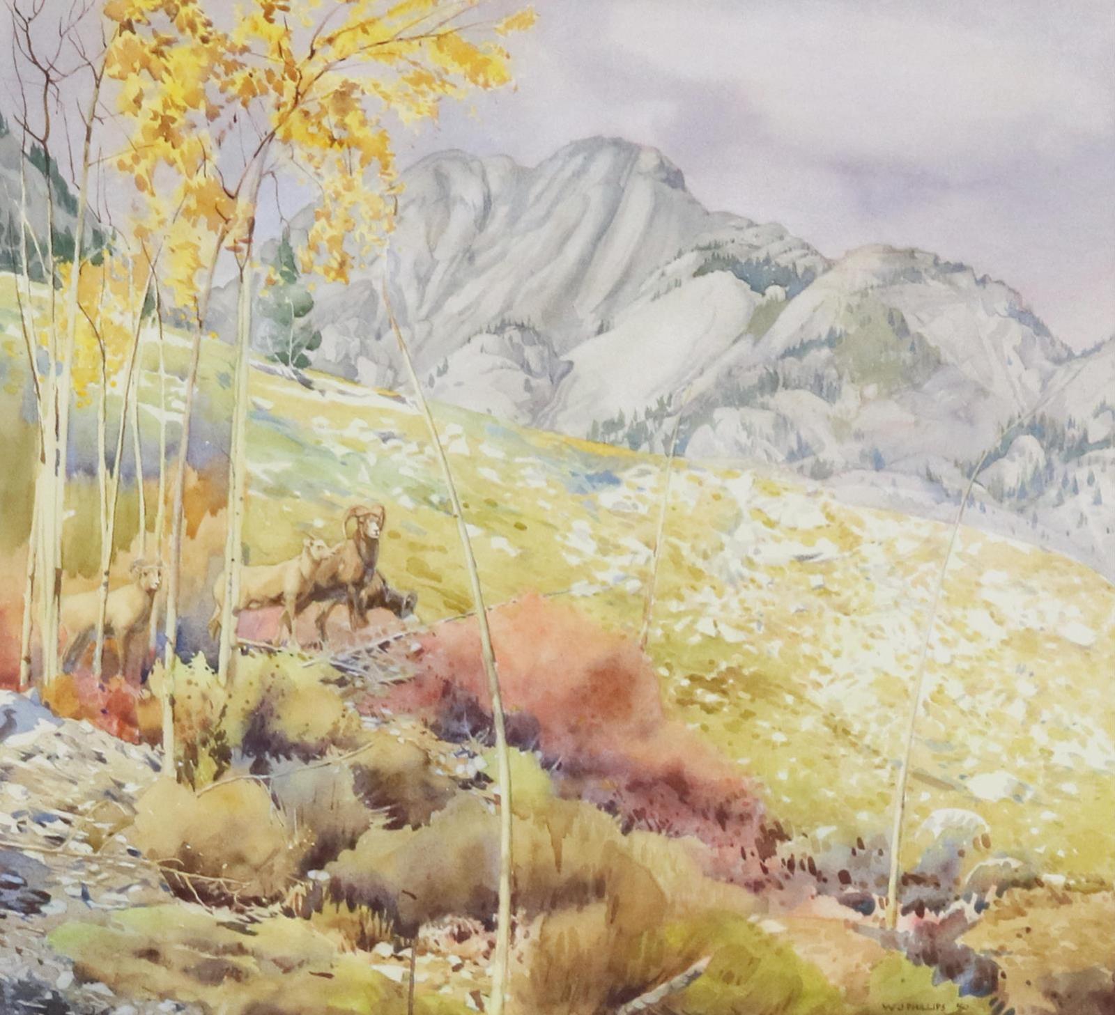 Walter Joseph (W.J.) Phillips (1884-1963) - Mountain Sheep In The Rockies