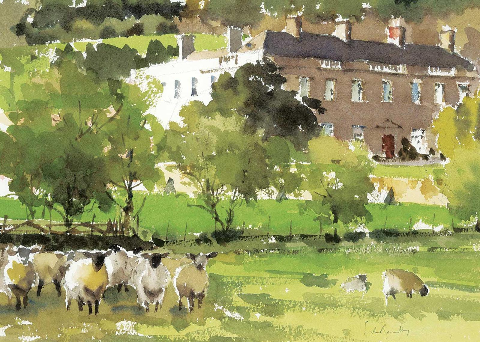 John Barkley (1964) - Untitled - Sheep in the Field
