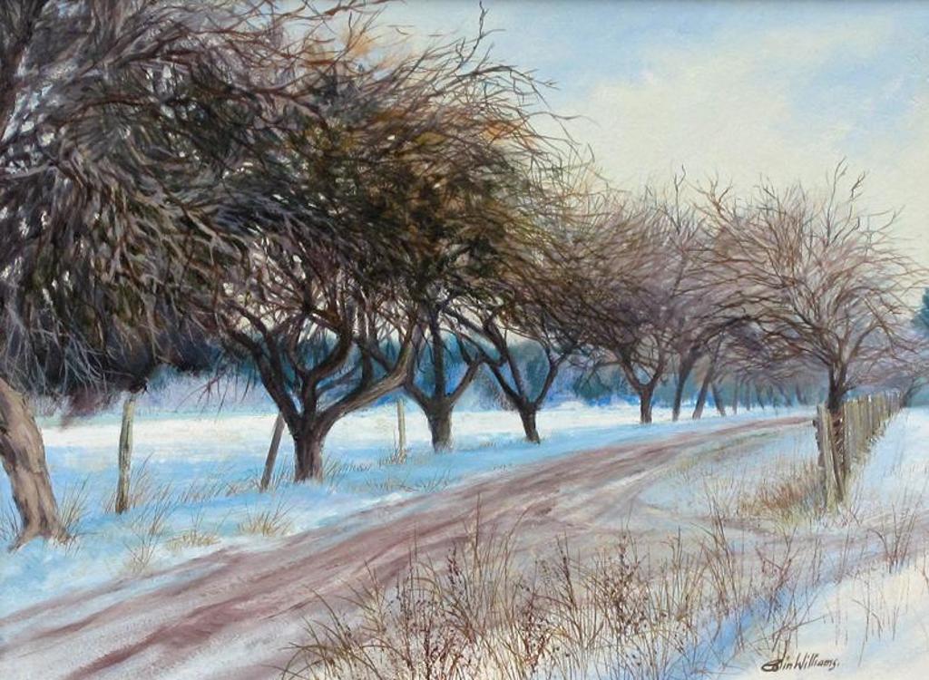 Colin E. Williams (1935) - Orchard In Winter, Salt Spring Island