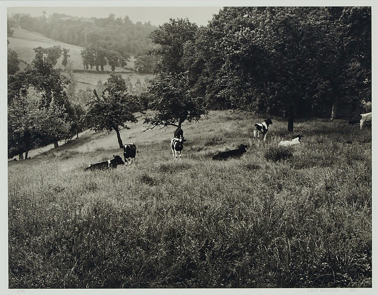 Robert Bourdeau (1931) - Midi-Pyrenees, France, 1991