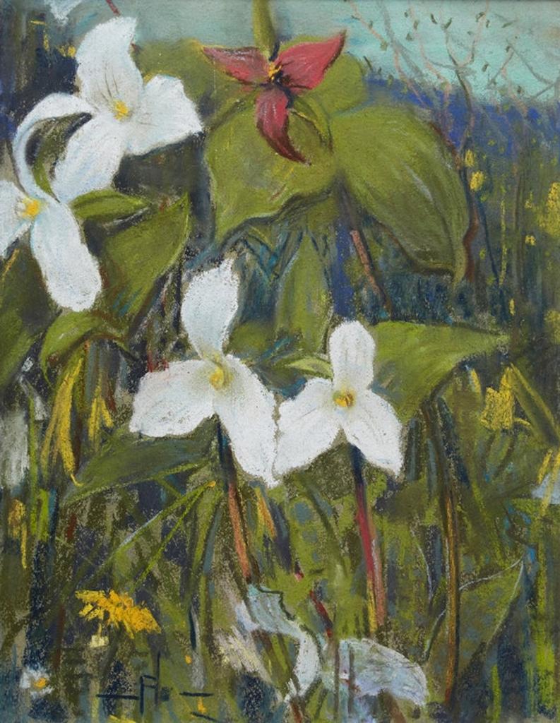 Peleg Franklin Frank Brownell (1857-1946) - Trilliums