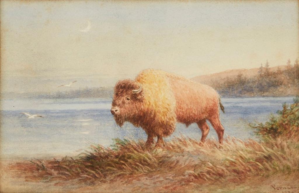 Frederick Arthur Verner (1836-1928) - Bison by the Water's Edge